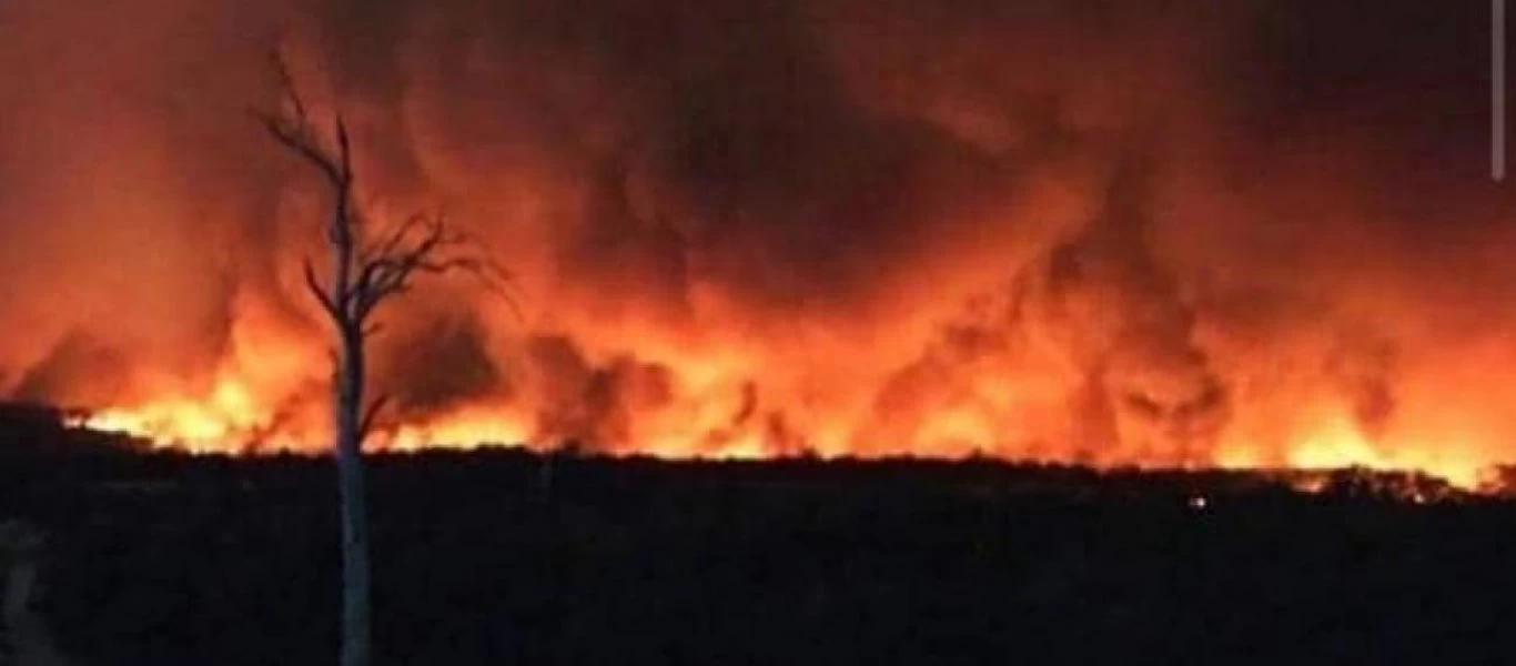 Φωτιές στην Αυστραλία : «Το νερό τελειώνει, σαν να έχει πέσει κατάρα»